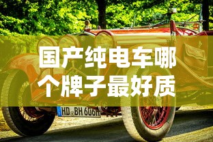 国产纯电车哪个牌子最好质量最好  第1张