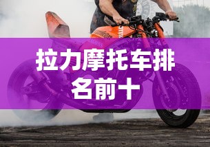 拉力摩托车排名前十  第1张