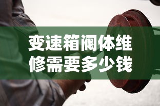 变速箱阀体维修需要多少钱  第1张