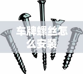 车牌螺丝怎么安装  第1张