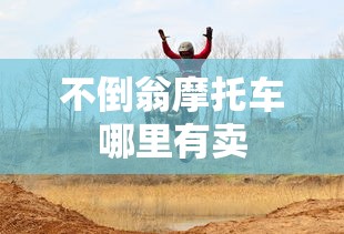 不倒翁摩托车哪里有卖  第1张