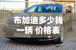 布加迪多少钱一辆 价格表  第1张