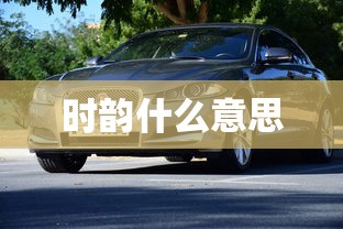 时韵什么意思  第1张