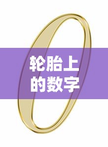 轮胎上的数字和字母是什么意思图解  第1张