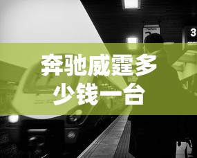 奔驰威霆多少钱一台  第1张