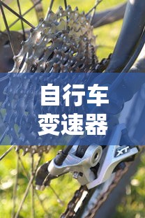 自行车变速器原理  第1张