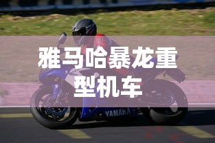 雅马哈暴龙重型机车  第1张