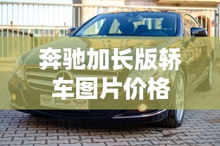 奔驰加长版轿车图片价格  第1张