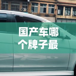 国产车哪个牌子最好最省油  第1张