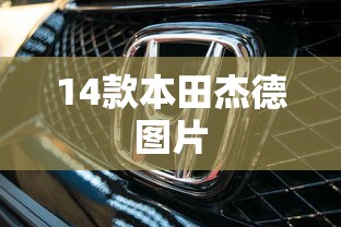 14款本田杰德图片  第1张