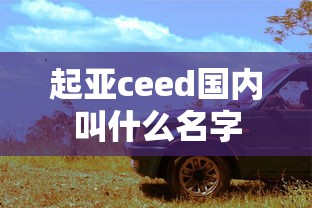 起亚ceed国内叫什么名字  第1张
