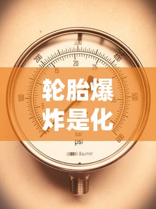 轮胎爆炸是化学变化还是物理变化  第1张
