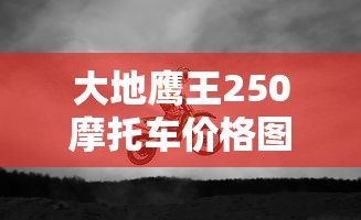 大地鹰王250摩托车价格图片  第1张
