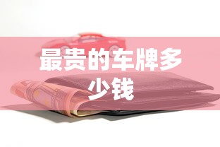 最贵的车牌多少钱  第1张