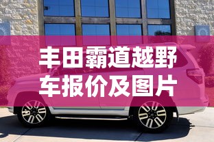 哥们网天书世界2025  第1张