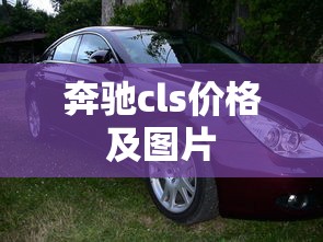 奔驰cls价格及图片  第1张