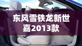 东风雪铁龙新世嘉2013款  第1张