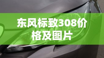 东风标致308价格及图片  第1张
