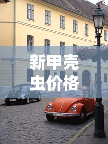 新甲壳虫价格  第1张