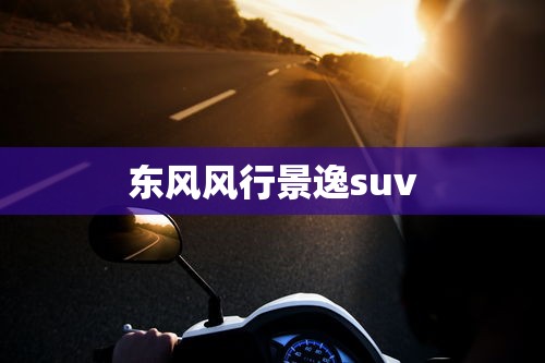 东风风行景逸suv  第1张