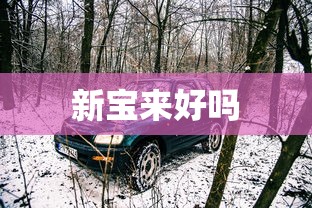 新宝来好吗  第1张