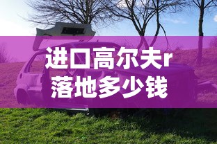 进口高尔夫r落地多少钱  第1张