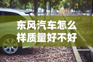 东风汽车怎么样质量好不好  第1张
