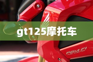 gt125摩托车  第1张