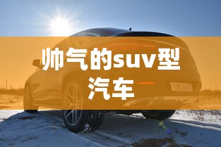 帅气的suv型汽车  第1张