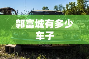 郭富城有多少车子  第1张