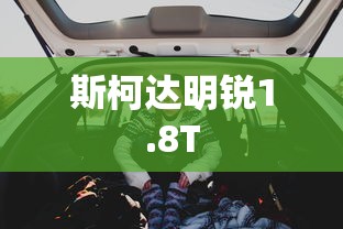 斯柯达明锐1.8T  第1张