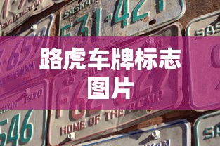 路虎车牌标志图片  第1张