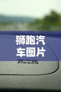 狮跑汽车图片  第1张
