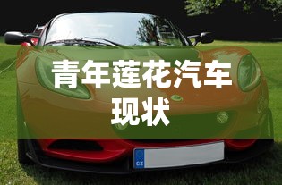 青年莲花汽车现状  第1张