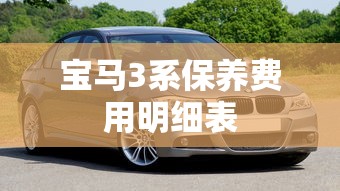 宝马3系保养费用明细表  第1张