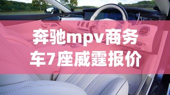 奔驰mpv商务车7座威霆报价  第1张