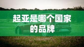 起亚是哪个国家的品牌  第1张