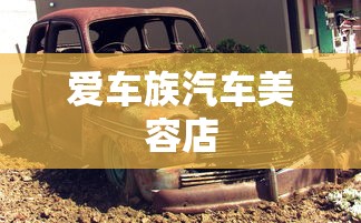 爱车族汽车美容店  第1张