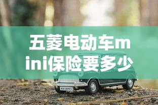 五菱电动车mini保险要多少  第1张