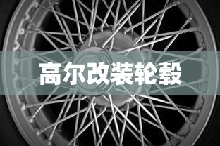 高尔改装轮毂  第1张