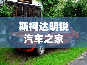 斯柯达明锐汽车之家  第1张