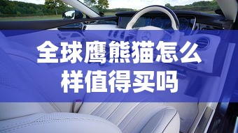 全球鹰熊猫怎么样值得买吗  第1张