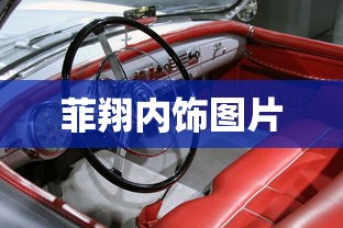 侠盗猎车手血战唐人街汉化版下载  第1张