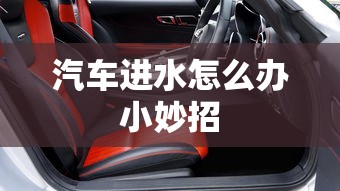 汽车进水怎么办小妙招  第1张