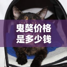鬼獒价格是多少钱一只  第1张