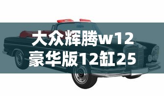 大众辉腾w12豪华版12缸256万  第1张