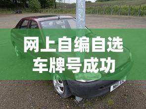 网上自编自选车牌号成功收费吗  第1张