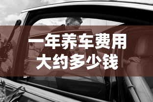 一年养车费用大约多少钱  第1张