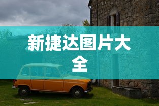 新捷达图片大全  第1张