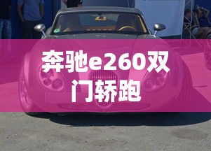 奔驰e260双门轿跑  第1张